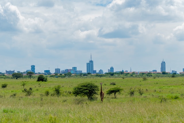 Nairobi Wildlife Full Day Tour